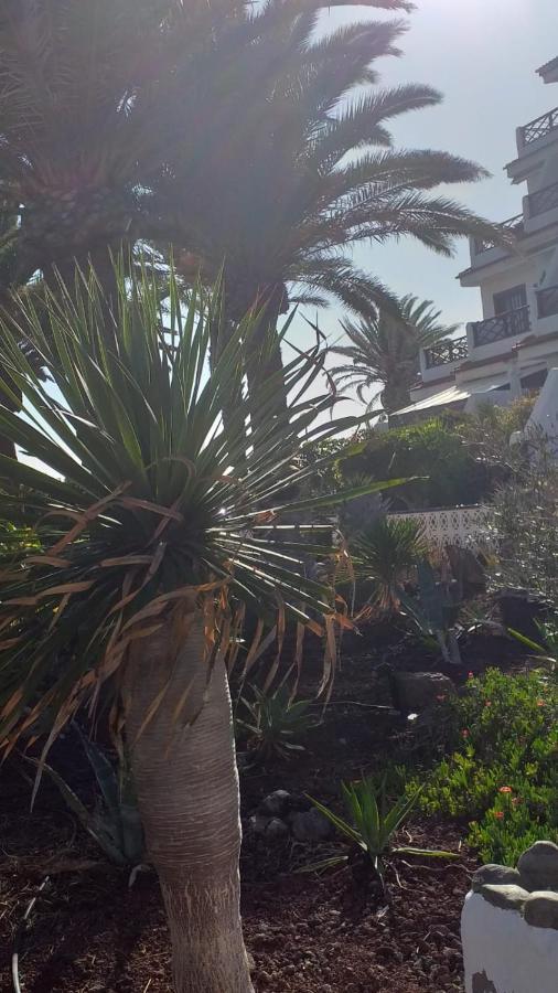 Flat Apartment Costa Del Silencio Exterior photo
